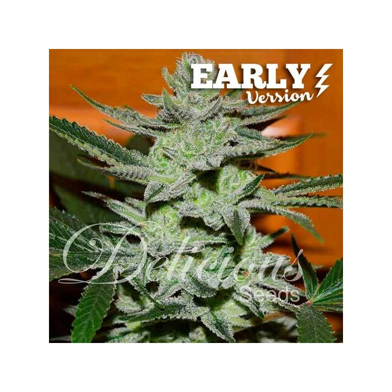 Unknown Kush Early Version, Фасовка: 1